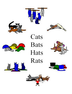 Cats Bats Hats Rats by Crowe, Patty