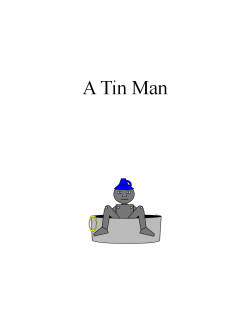 A Tin Man by Crowe, Patty